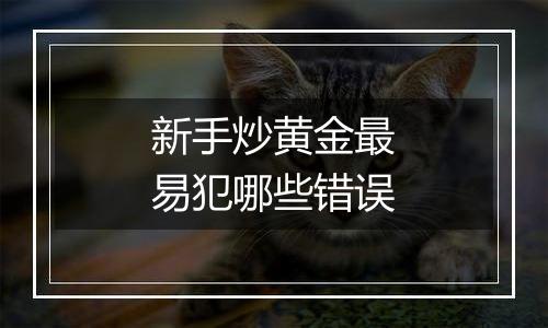 新手炒黄金最易犯哪些错误