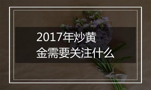 2017年炒黄金需要关注什么