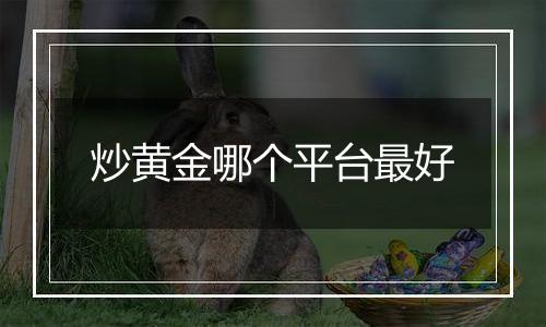 炒黄金哪个平台最好