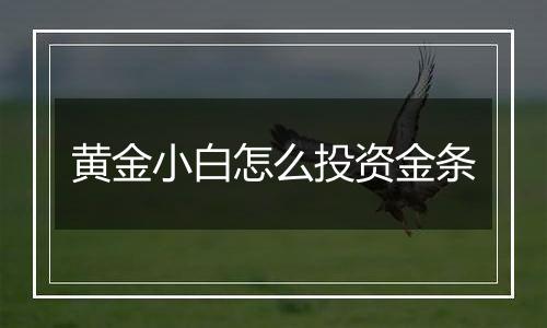 黄金小白怎么投资金条