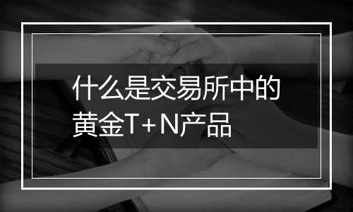 什么是交易所中的黄金T+N产品
