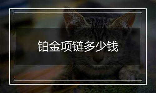 铂金项链多少钱