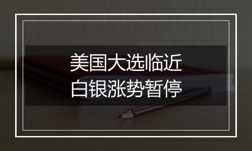 美国大选临近白银涨势暂停