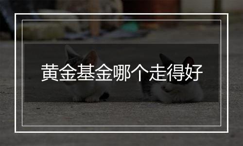 黄金基金哪个走得好