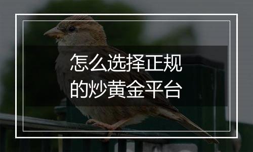 怎么选择正规的炒黄金平台