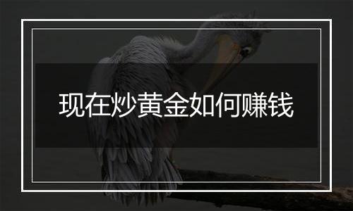 现在炒黄金如何赚钱