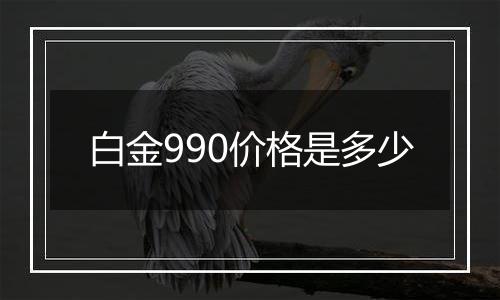 白金990价格是多少