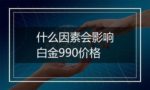 什么因素会影响白金990价格
