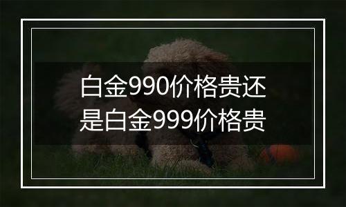 白金990价格贵还是白金999价格贵
