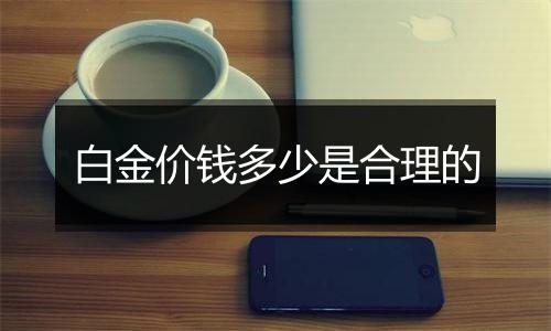 白金价钱多少是合理的
