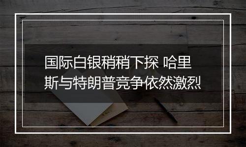 国际白银稍稍下探 哈里斯与特朗普竞争依然激烈