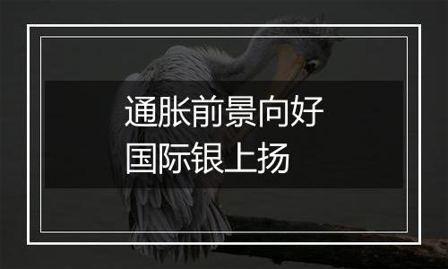 通胀前景向好国际银上扬