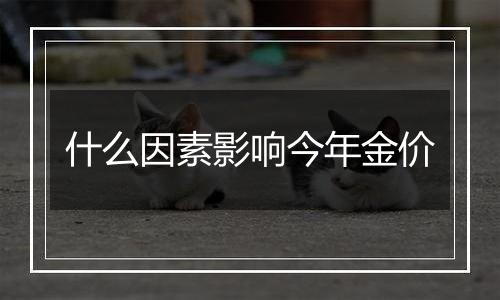 什么因素影响今年金价