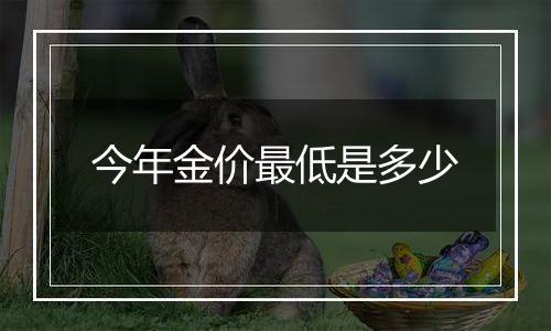 今年金价最低是多少