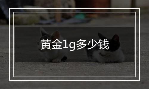 黄金1g多少钱