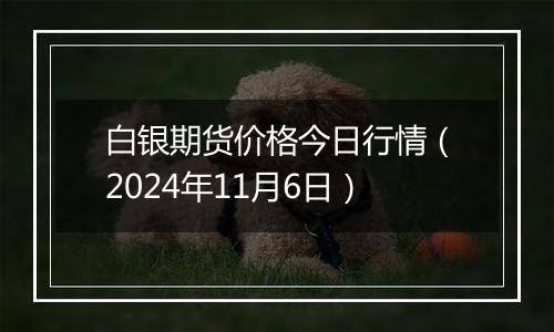 白银期货价格今日行情(2024年11月6日)