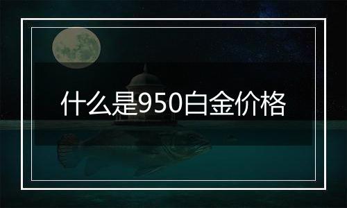 什么是950白金价格