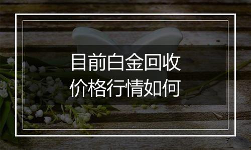 目前白金回收价格行情如何