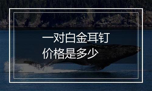 一对白金耳钉价格是多少