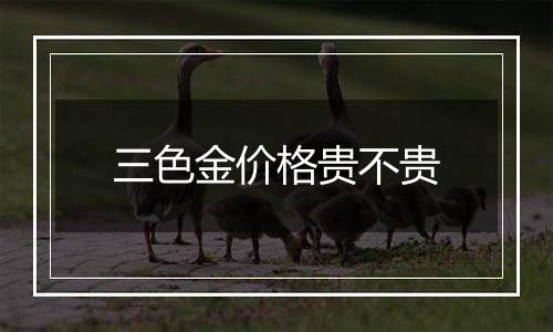 三色金价格贵不贵