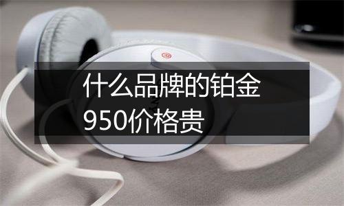 什么品牌的铂金950价格贵