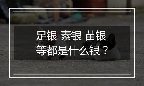 足银 素银 苗银等都是什么银?