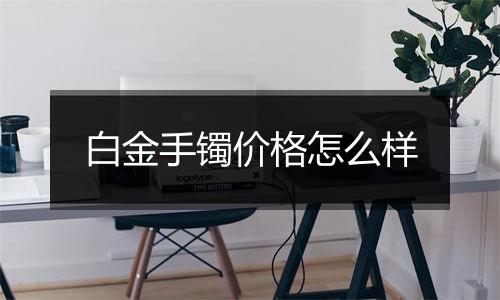 白金手镯价格怎么样