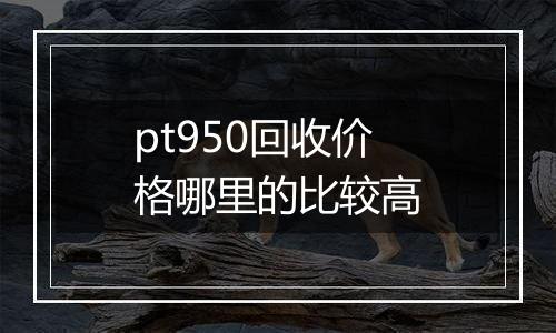 pt950回收价格哪里的比较高
