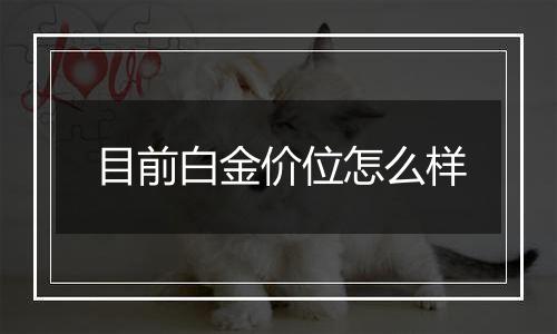 目前白金价位怎么样