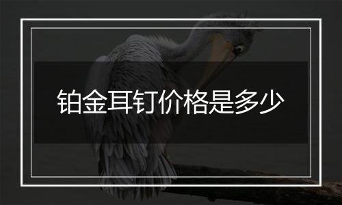 铂金耳钉价格是多少