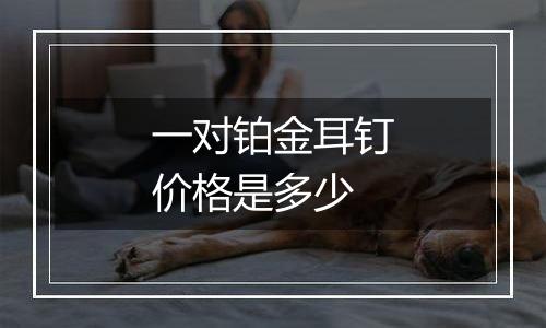一对铂金耳钉价格是多少