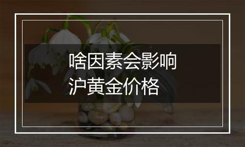 啥因素会影响沪黄金价格
