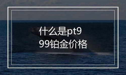 什么是pt999铂金价格