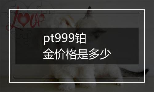 pt999铂金价格是多少