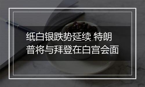 纸白银跌势延续 特朗普将与拜登在白宫会面