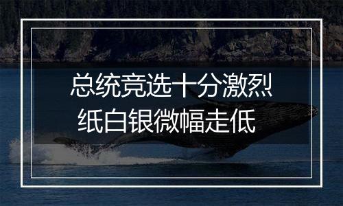 总统竞选十分激烈 纸白银微幅走低