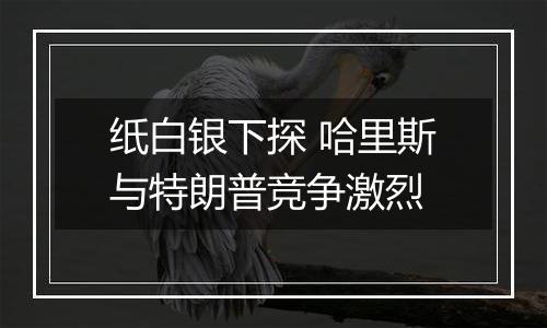 纸白银下探 哈里斯与特朗普竞争激烈