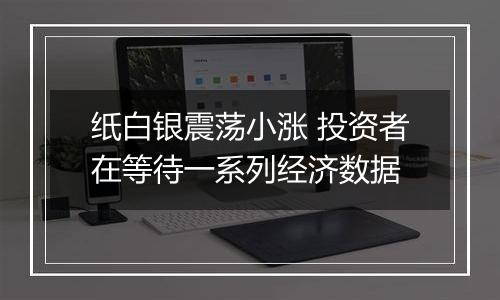 纸白银震荡小涨 投资者在等待一系列经济数据