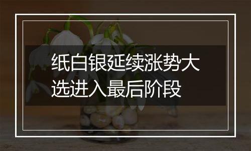 纸白银延续涨势大选进入最后阶段
