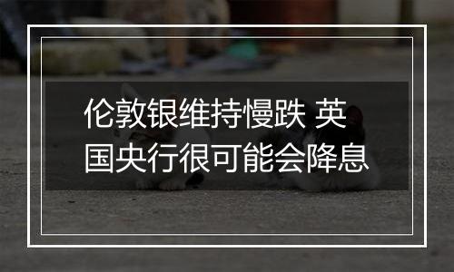 伦敦银维持慢跌 英国央行很可能会降息
