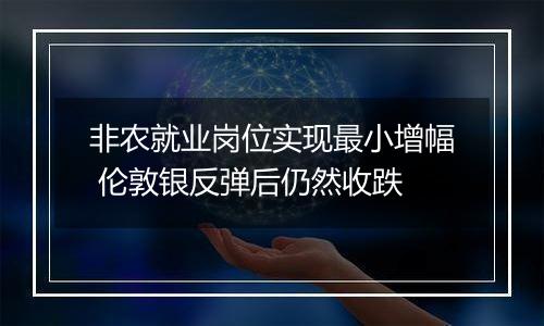 非农就业岗位实现最小增幅 伦敦银反弹后仍然收跌