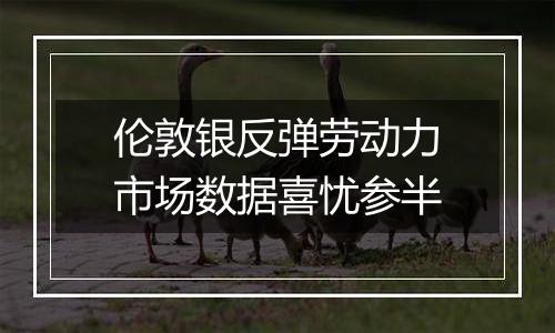 伦敦银反弹劳动力市场数据喜忧参半