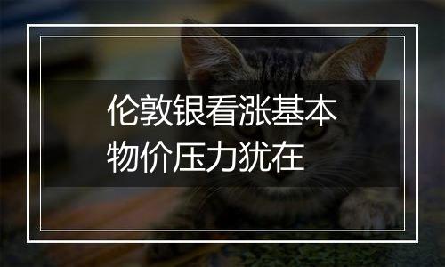 伦敦银看涨基本物价压力犹在