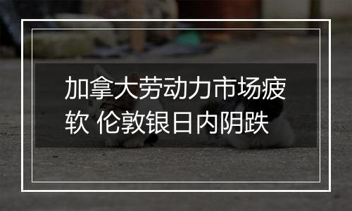 加拿大劳动力市场疲软 伦敦银日内阴跌