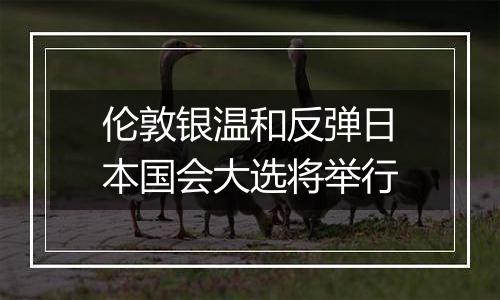 伦敦银温和反弹日本国会大选将举行