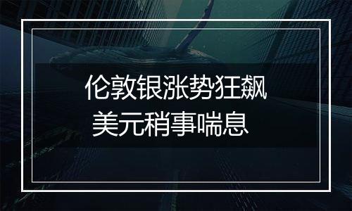 伦敦银涨势狂飙 美元稍事喘息