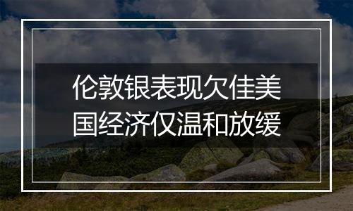 伦敦银表现欠佳美国经济仅温和放缓