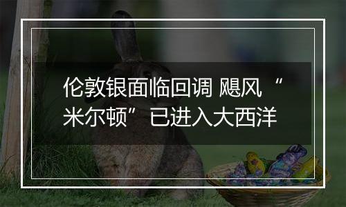 伦敦银面临回调 飓风“米尔顿”已进入大西洋