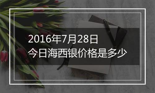 2016年7月28日今日海西银价格是多少