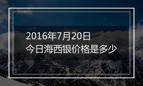 2016年7月20日今日海西银价格是多少